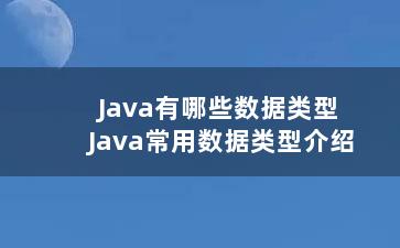 Java有哪些数据类型 Java常用数据类型介绍